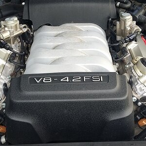 V8 small.jpg