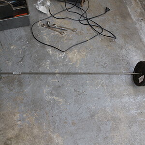 EXTRACTION TULIPE DROITE (1).JPG