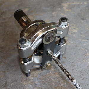 EXTRACTION TULIPE DROITE (2).JPG