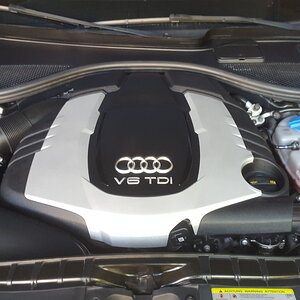 v6 compétition